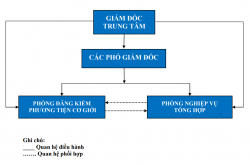 Cơ cấu tổ chức